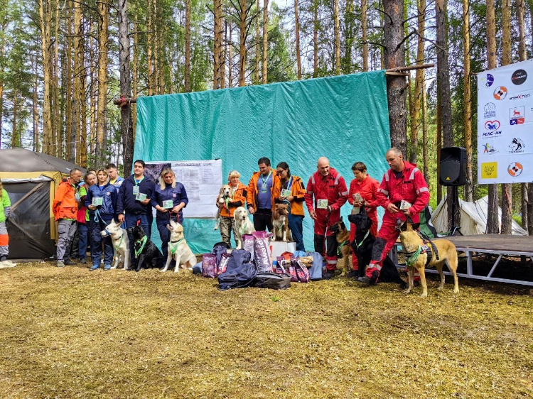    Фото: Пресс-служба Департамента по делам гражданской обороны, чрезвычайным ситуациям и пожарной безопасности города Москвы