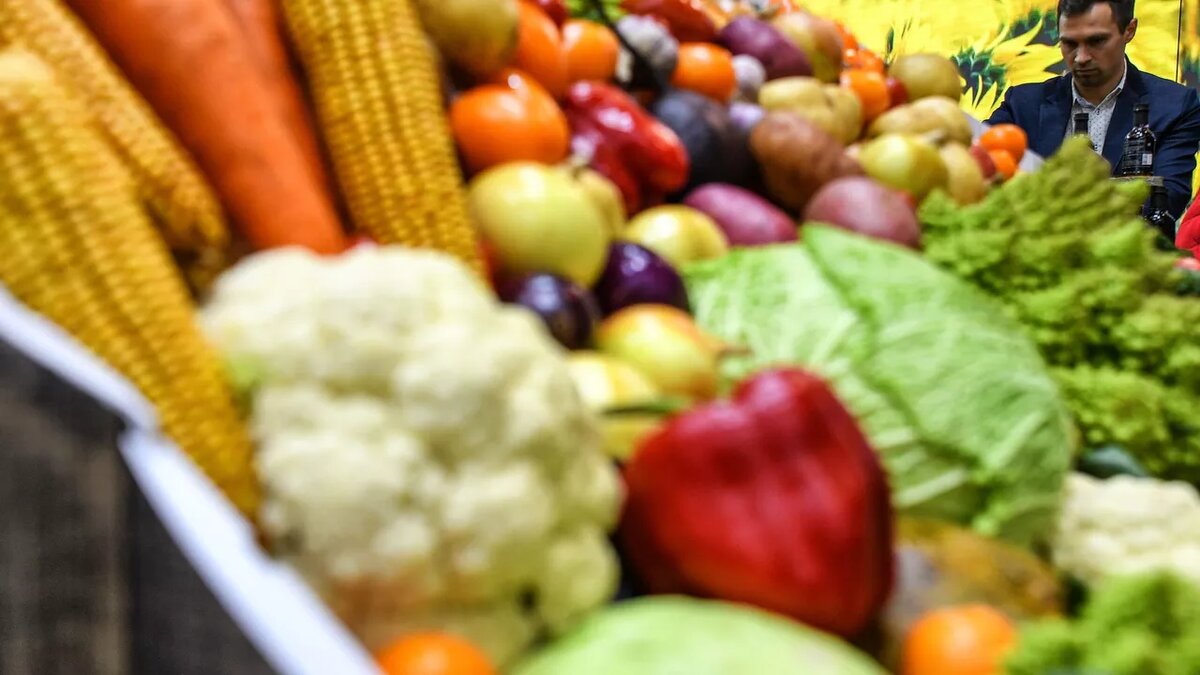 © Sputnik / Владимир Астапкович / Перейти в фотобанк