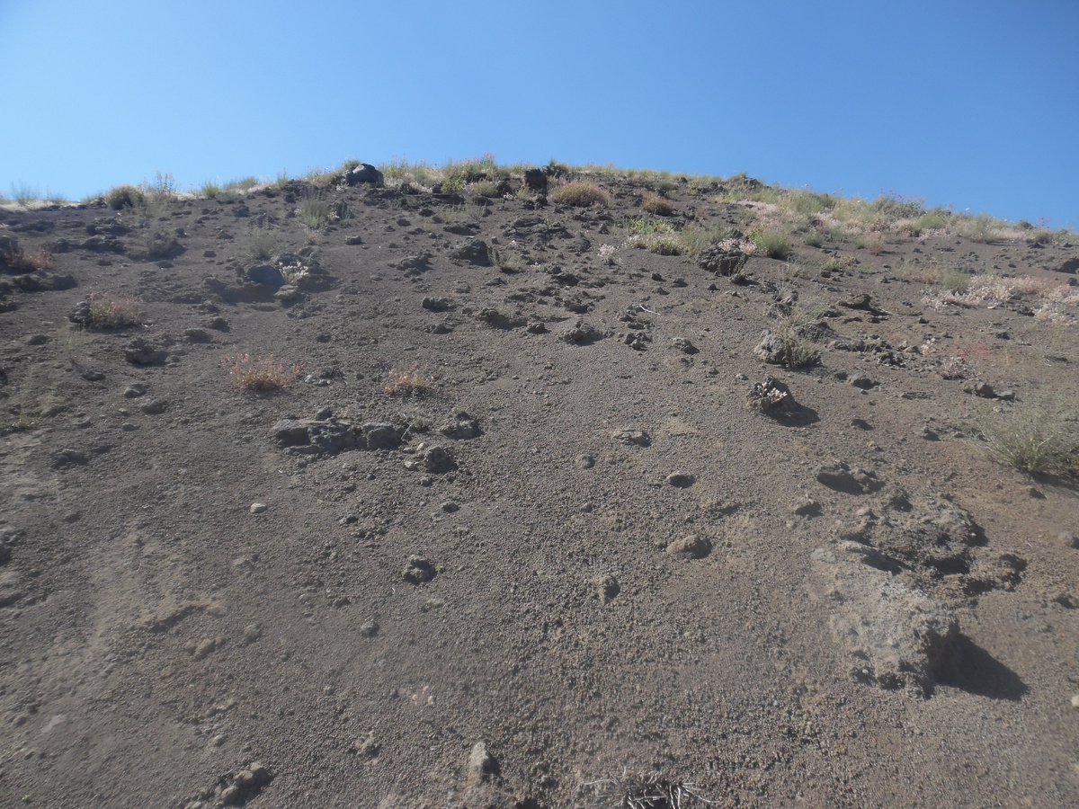 Чёрная земля Везувия