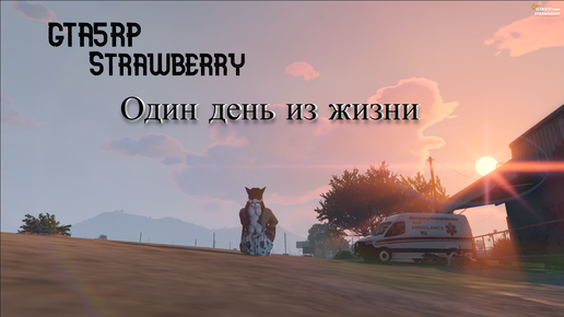 GTA5RP | Strawberry | Один день из жизни