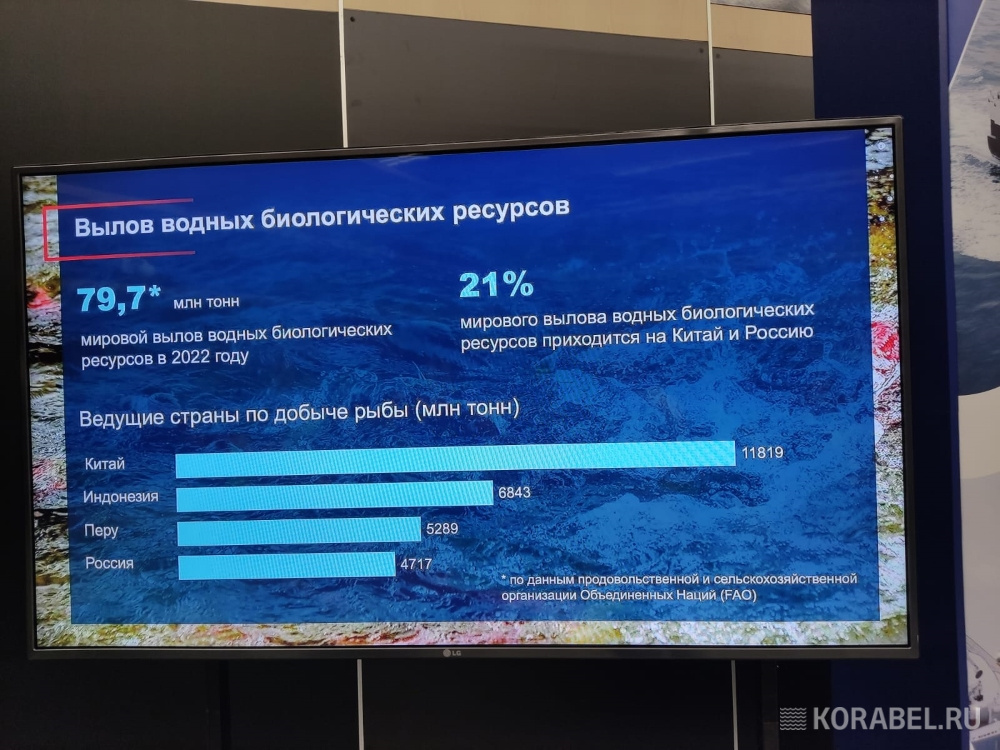 Бизнес-сессия "Россия-Китай" в рамках VII Рыбопромышленного форума / Фото: Корабел.ру  📷
