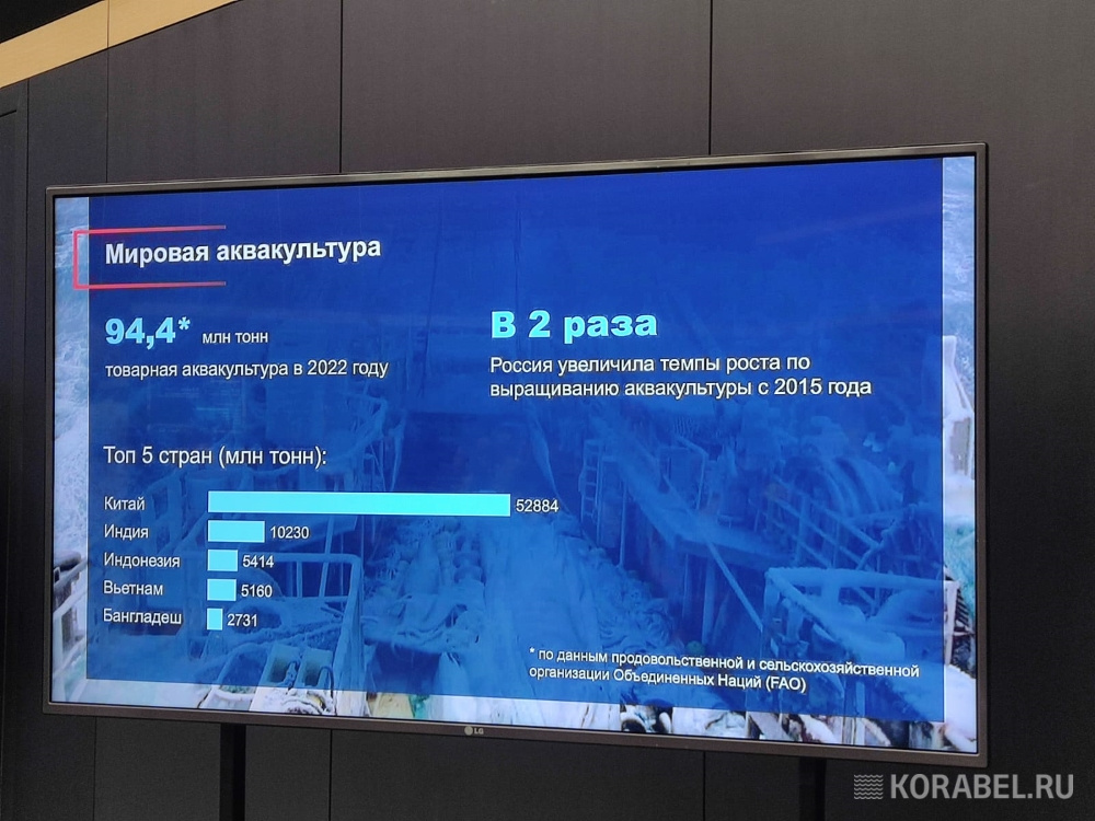 Бизнес-сессия "Россия-Китай" в рамках VII Рыбопромышленного форума / Фото: Корабел.ру  📷

