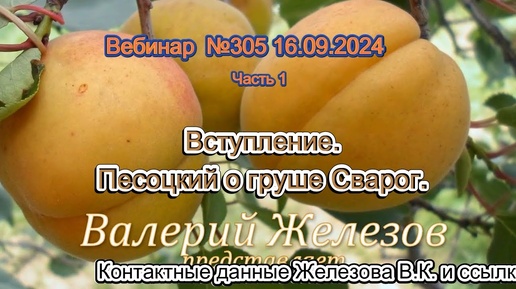 Железов Валерий.  Вебинар 305.  ч 1.  Вступление.  Песоцкий о груше Сварог.