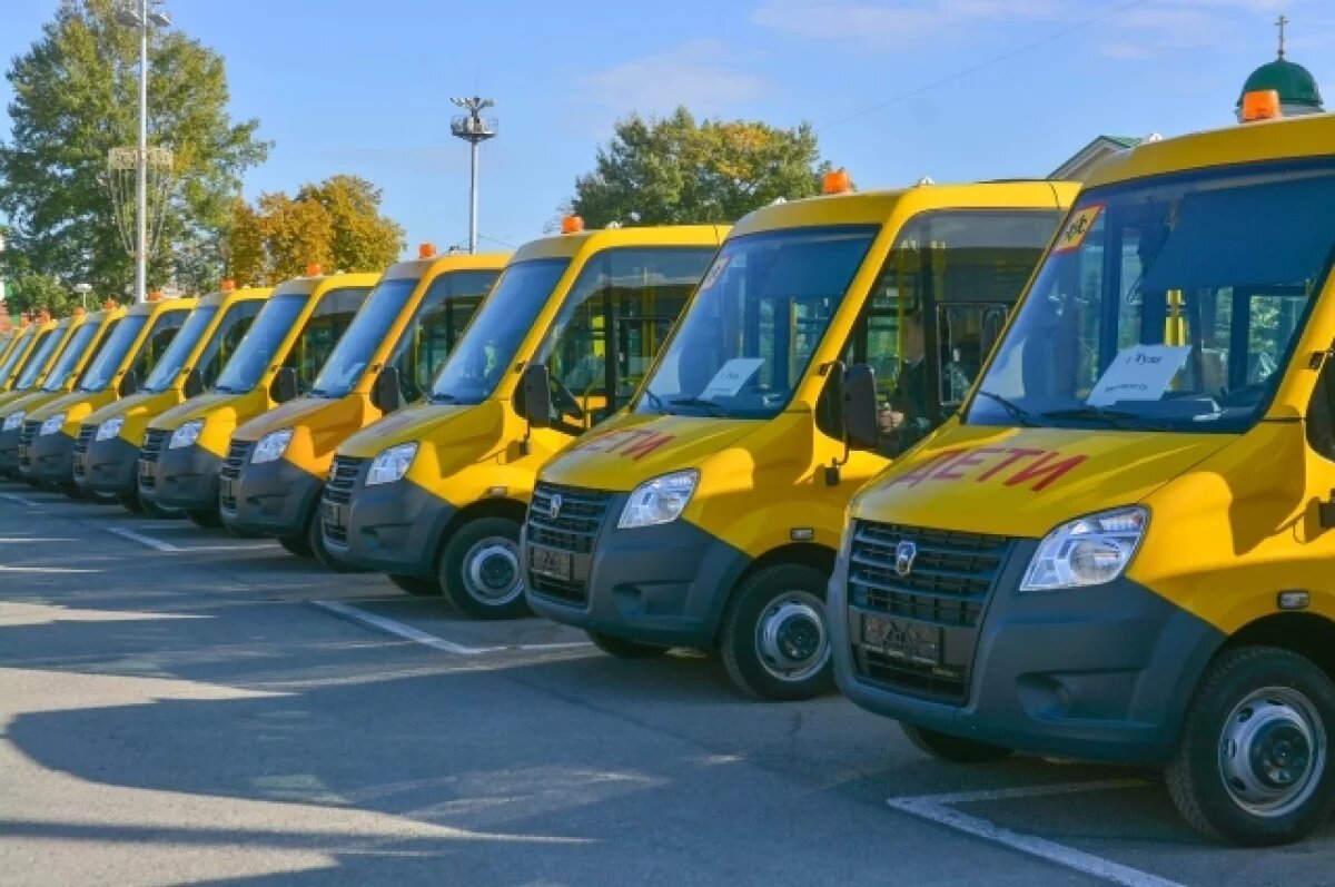    В Тульской области на школьных автобусах возят больше 9,5 тысяч детей