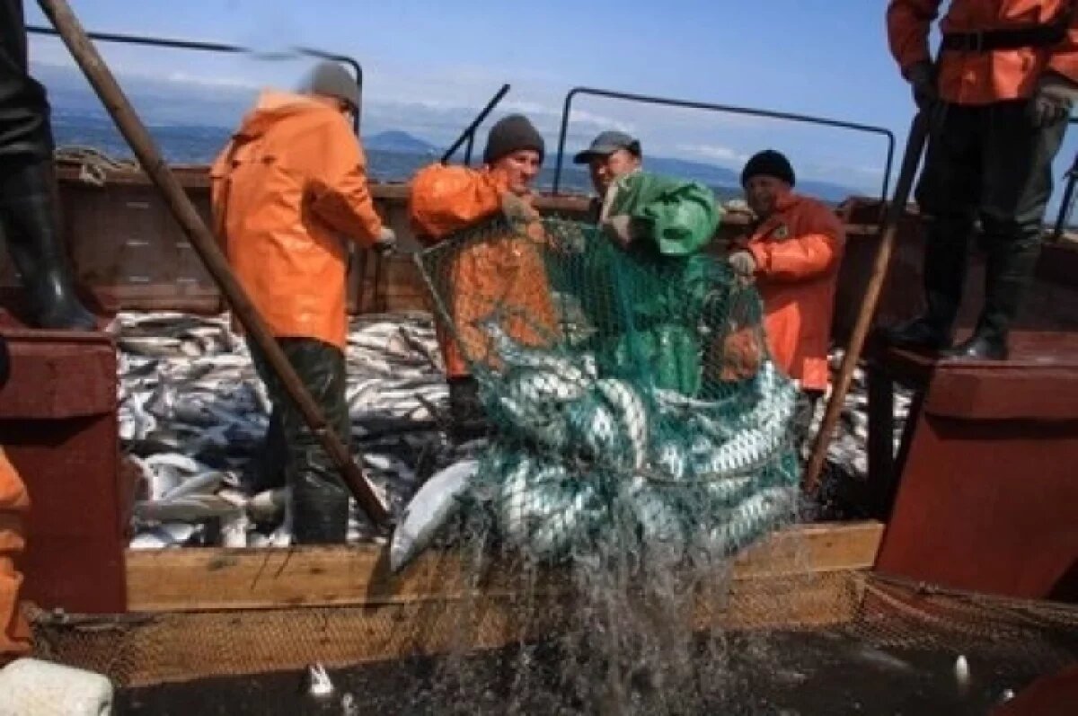    В выборы председателя камчатского колхоза добавили черного пиара