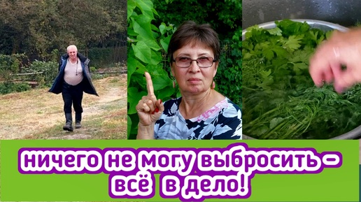 У меня всё в дело идет - все, что нашла перекрутила и в банки! муж ругает меня за тыквы и поливает огород