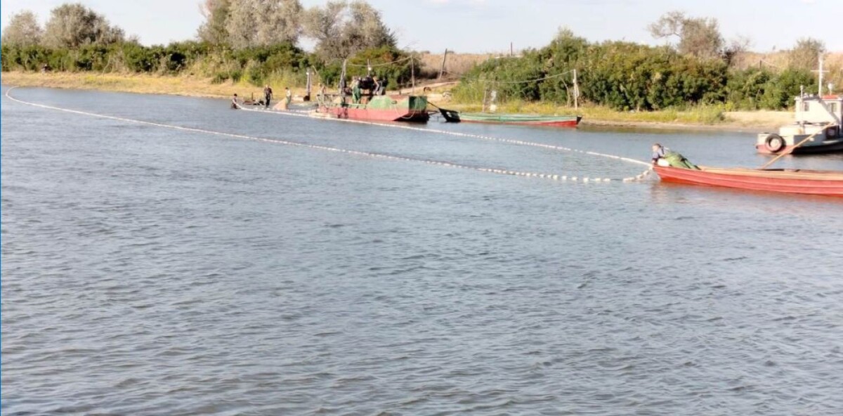 Фото: Волжско-Каспийский филиал «ВНИРО» 