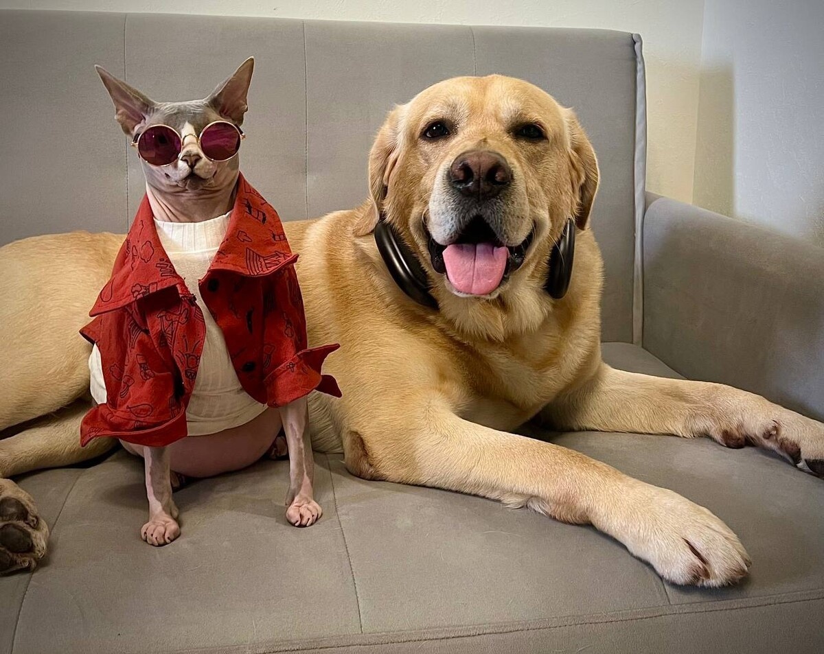 Фото: Дзен @Deni_Mani