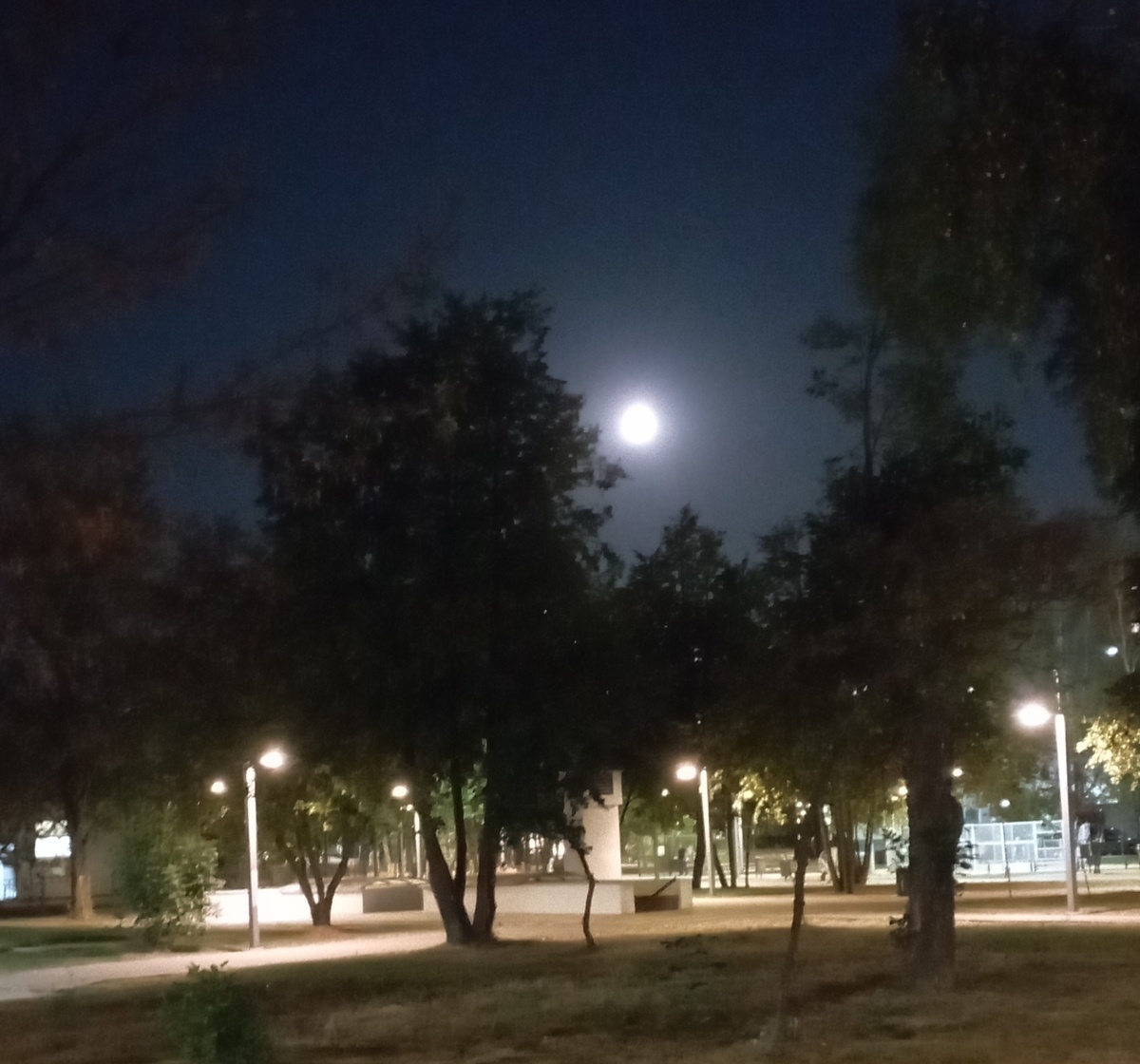 Дорога домой. В окрестностях пруда Марс. ЗДЕСЬ и далее фото автора и(или) из личного архива автора, если не указано иначе.