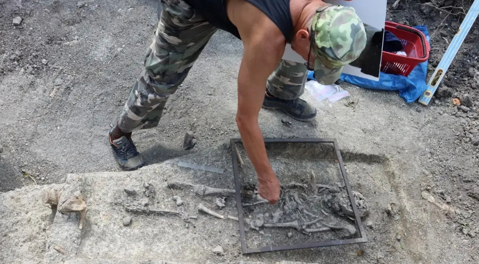 Источник: Lublin Voivodeship Conservator of Monuments.