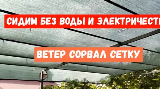 Скачать видео: Ветер сорвал сетку/Уборка в теплице/Любимые блинчики