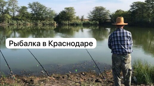 Рыбалка в Краснодаре.Сентябрь 2024 г.