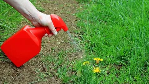 МОСРОЛЛЕТА