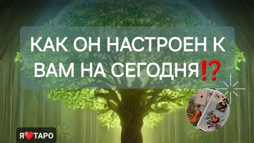 Как он настроен к вам на сегодня⁉️ Карты ТАРО|ЛЕНОРМАН