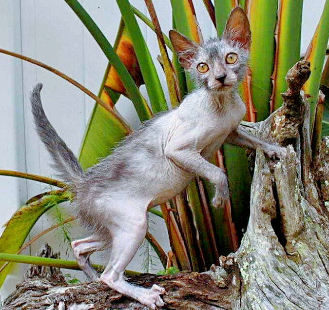 Снимок: travelask.ru