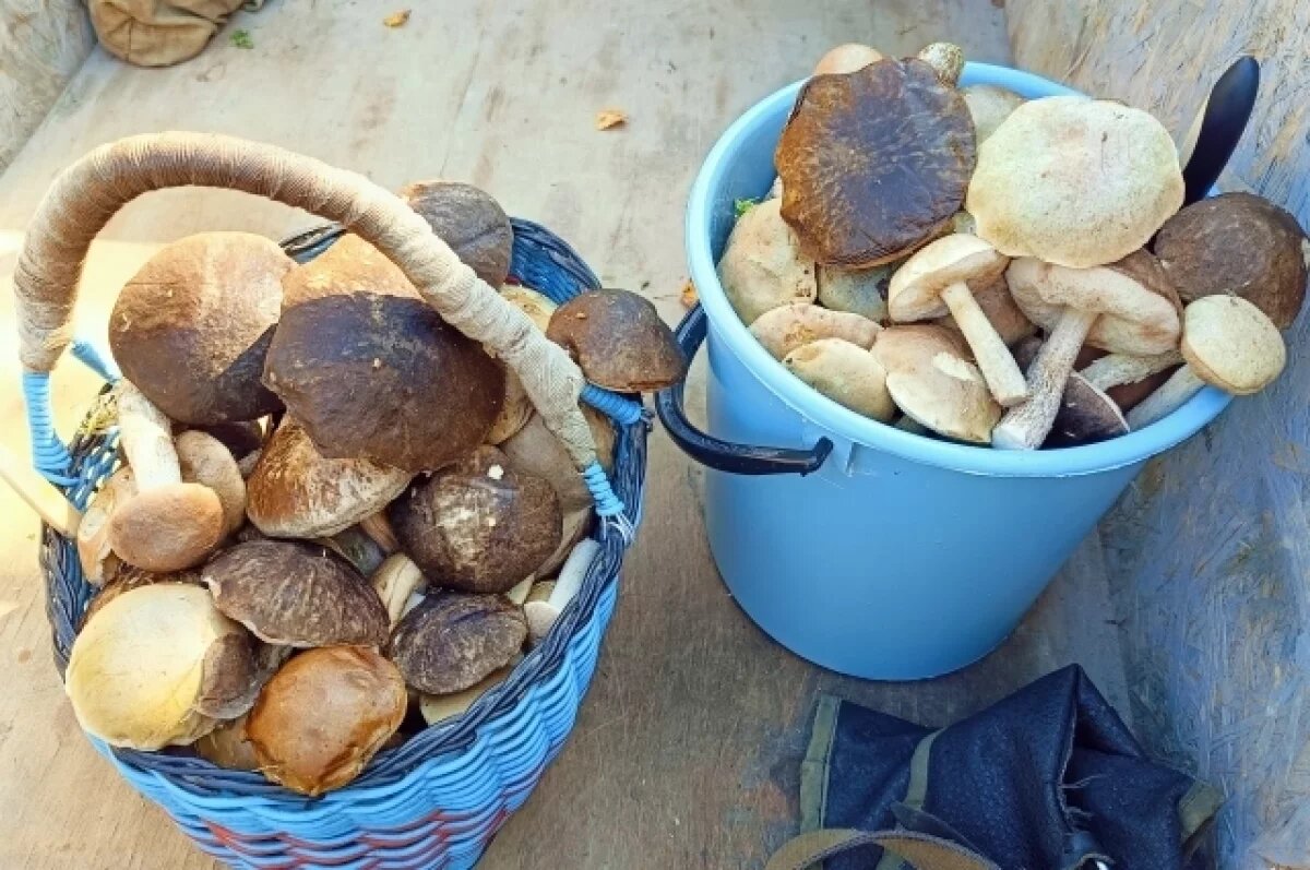    Белый - в дом.