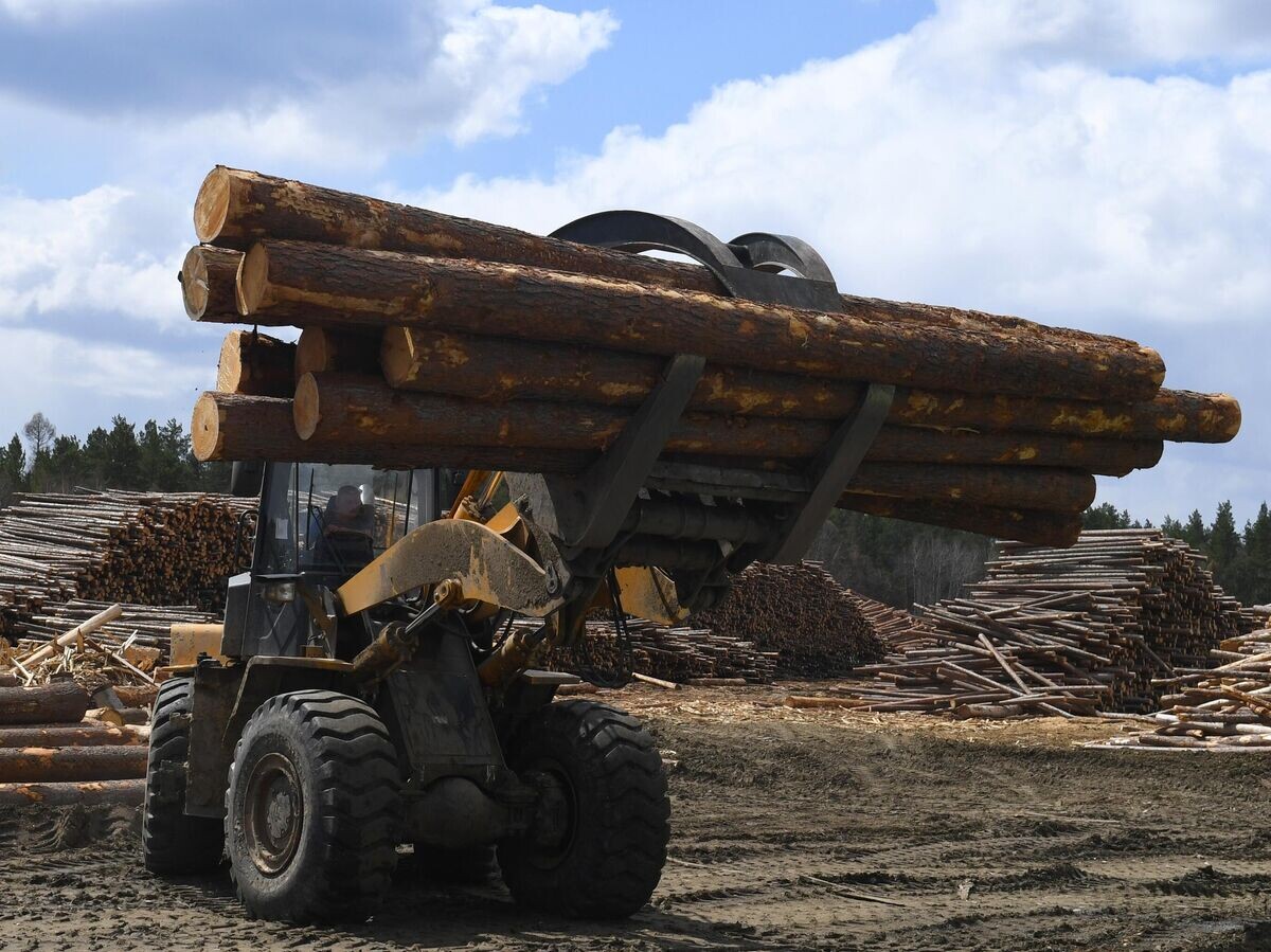    Лесопогрузчик перемещает бревна со склада круглой древесины© РИА Новости / Илья Наймушин