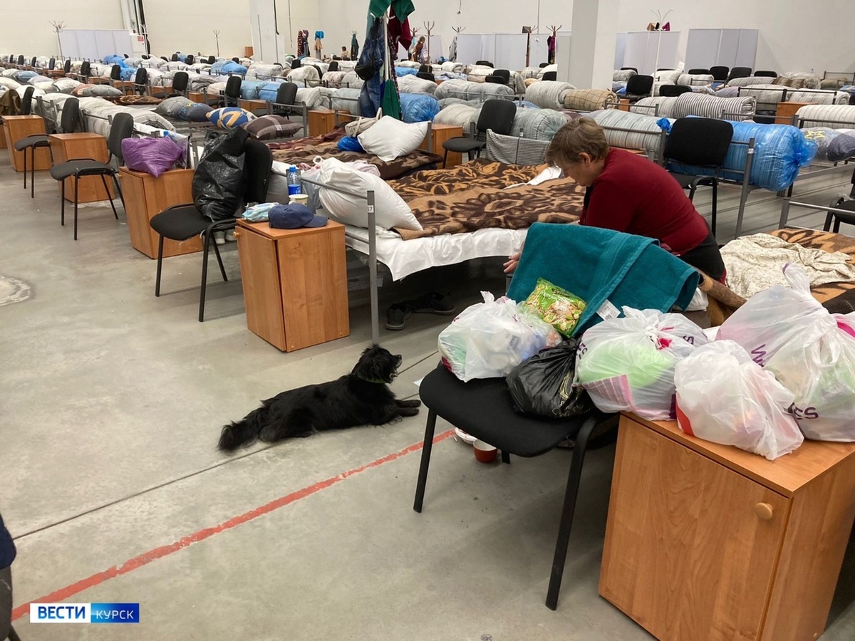    Около 100 человек, эвакуированных из Хомутовского района, разместились в ПВР Железногорска Курской области