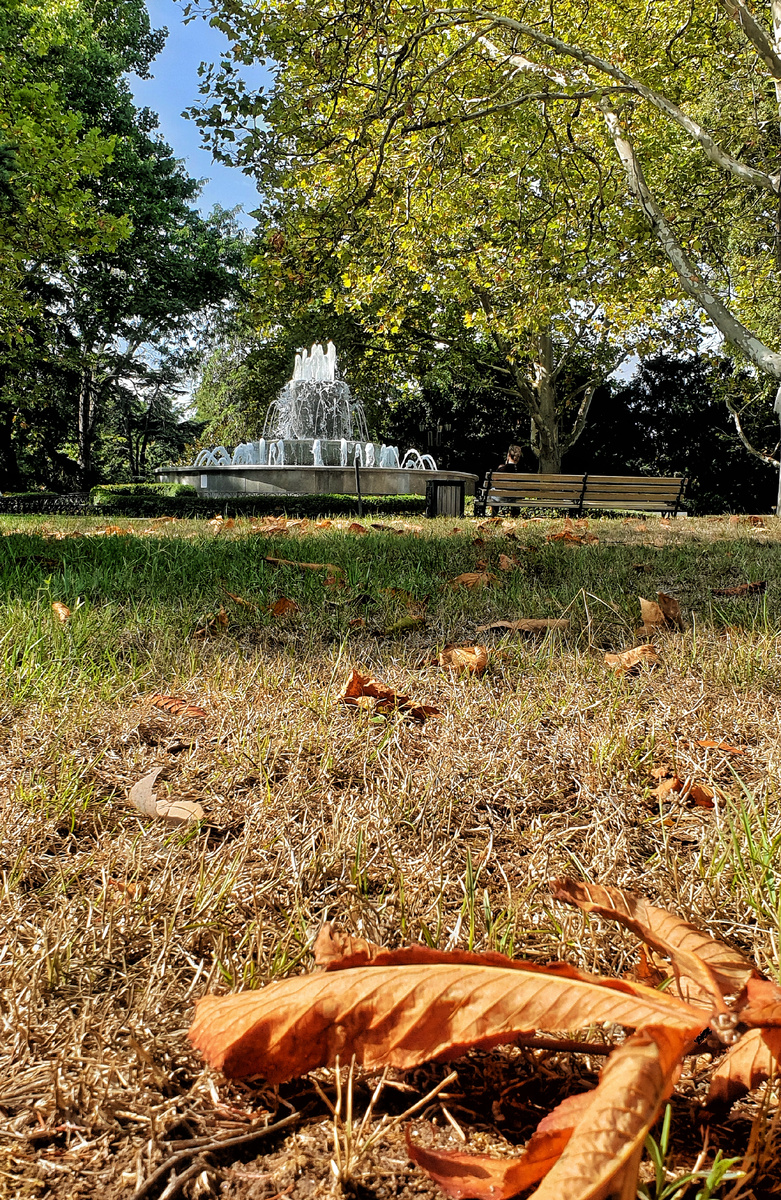 Приморский бульвар 