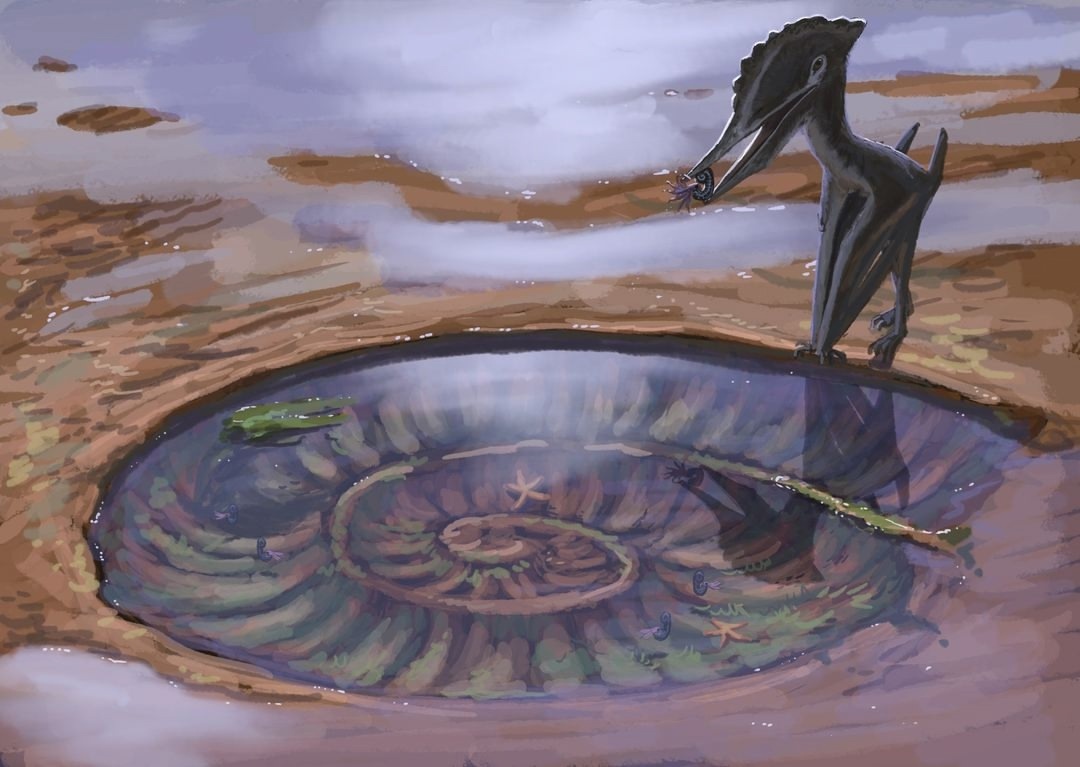 Источник: https://www.instagram.com/joschuaknuppe*