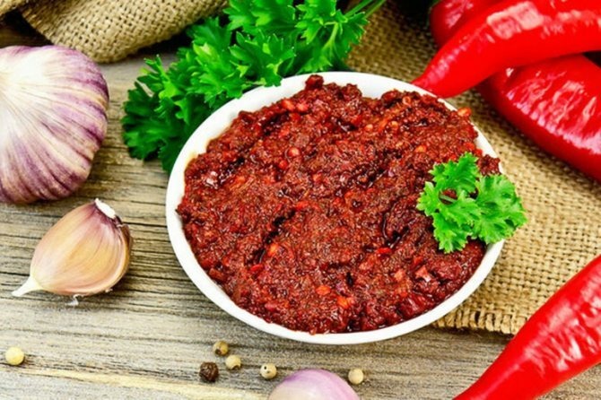 Аджика Абхазская