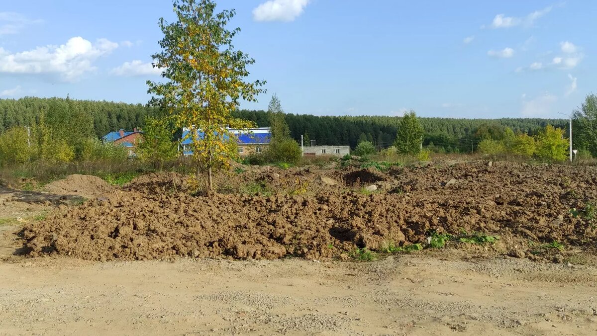     Источник: tagilcity.ru