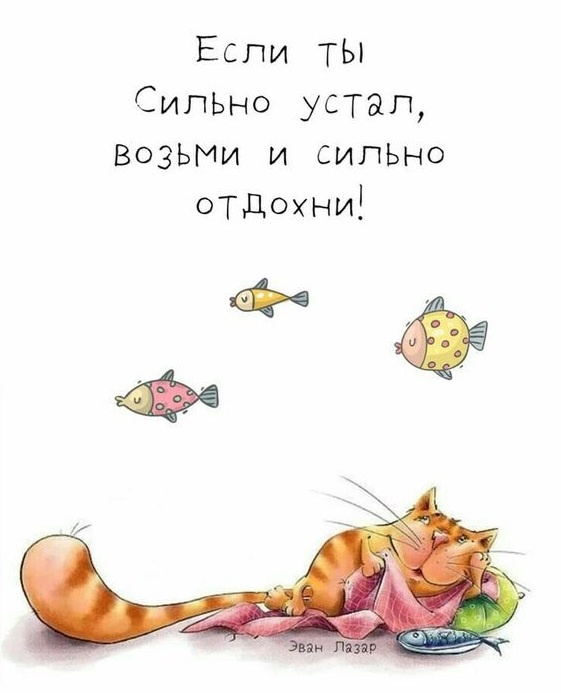 Картинка с интернета. https://ru.pinterest.com/pin/70437485339764/