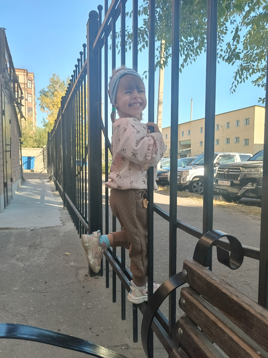 Обнимаем заборы