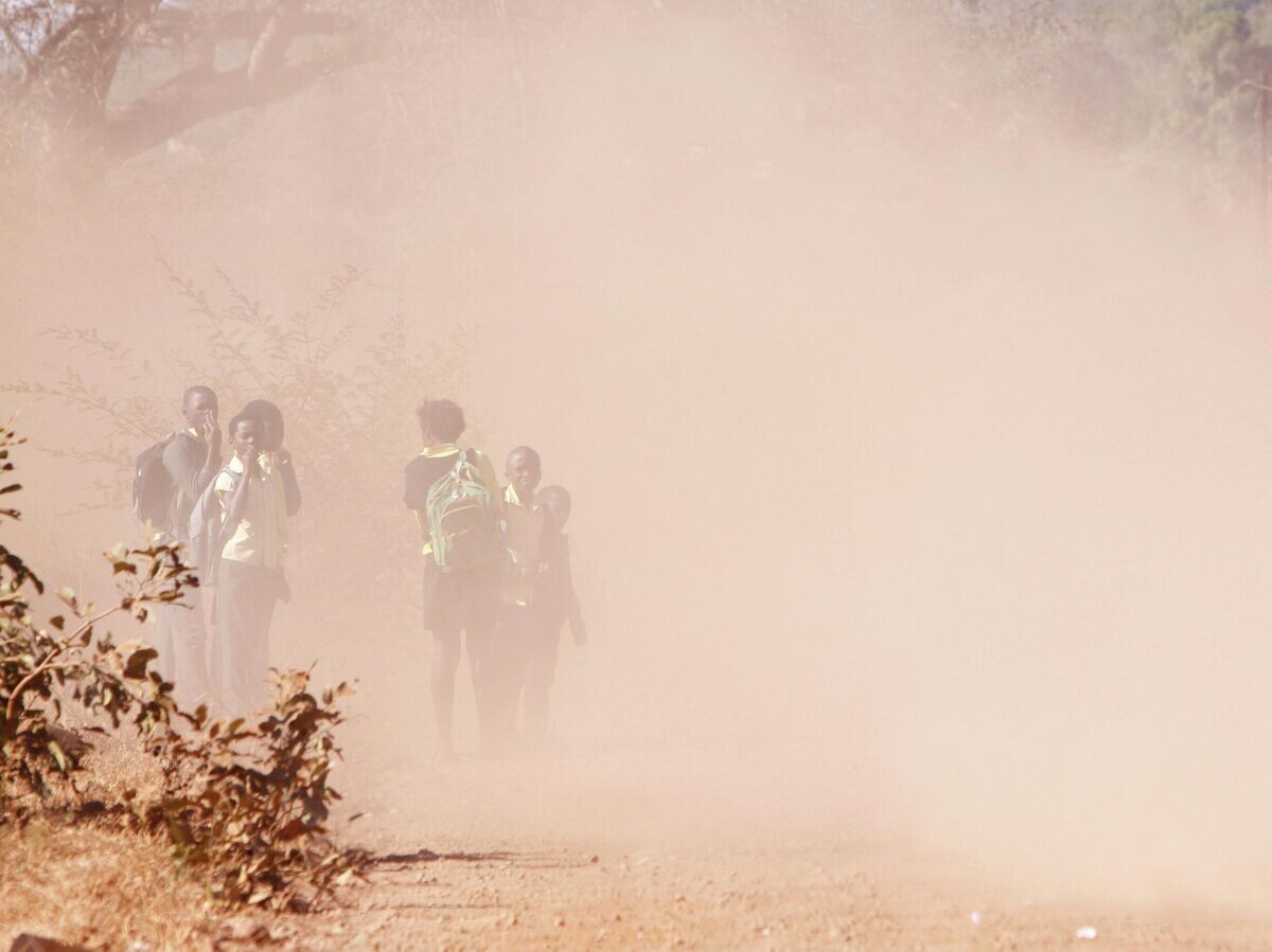    Дети на пыльной дороге в ЮАР© AP Photo / Denis Farrell