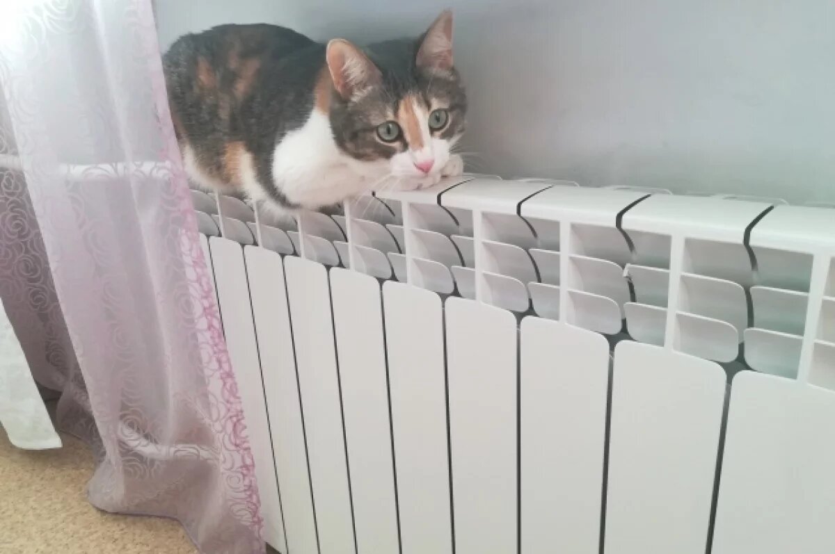    Скоро тепло.
