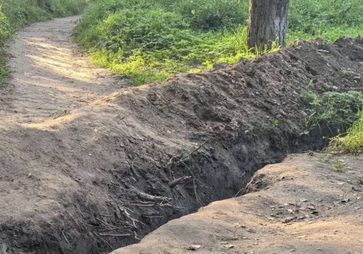    Стало известно, когда закончат работы в парке 30-летия Победы в Ярославле