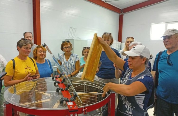    Двум агротуристическим проектам из Чувашии предоставят 10 млн рублей федеральной господдержки