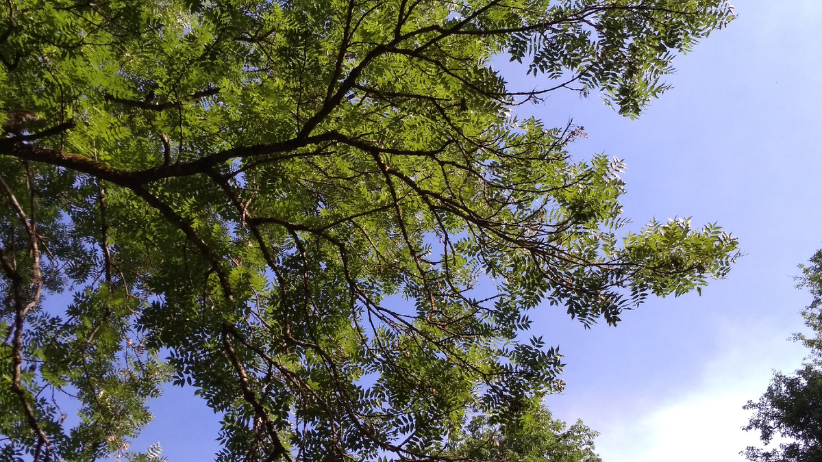 📸 Лена Шишкина