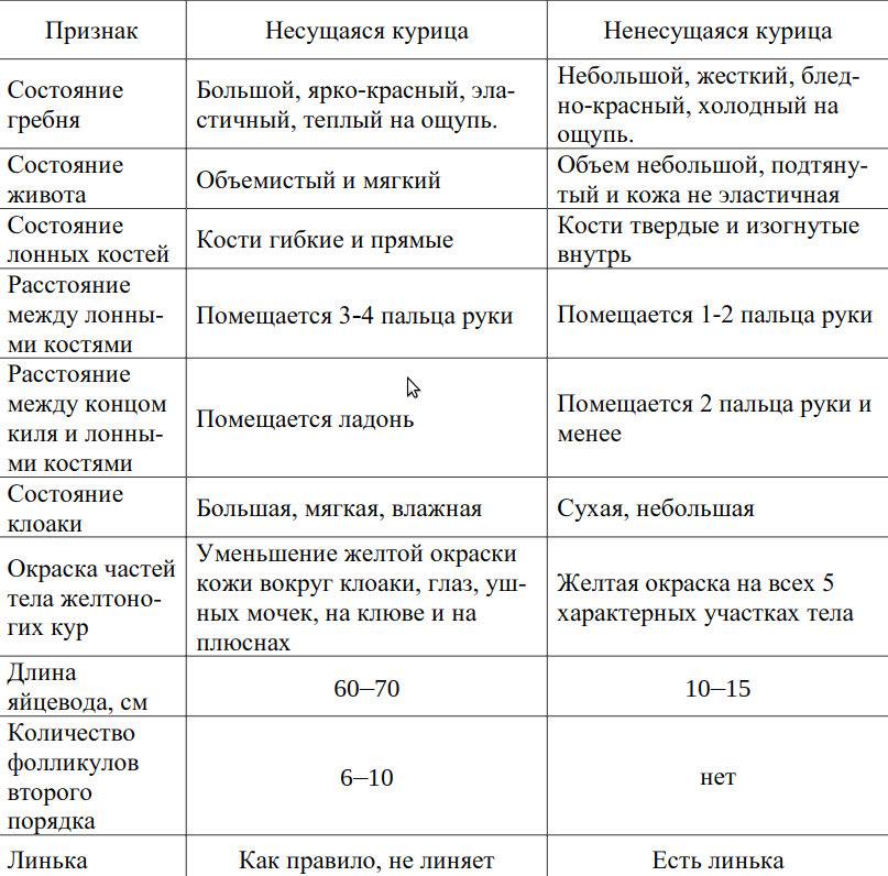 Внешние и внутренние признаки кур, изменяющиеся в связи с яйценоскостью