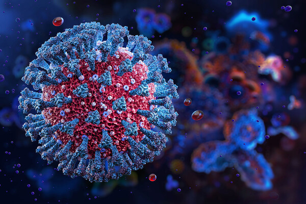 Corona Borealis Studio/Shutterstock/FOTODOM