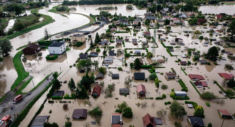    IMAGO/Dawid Markysz / Global Look Press