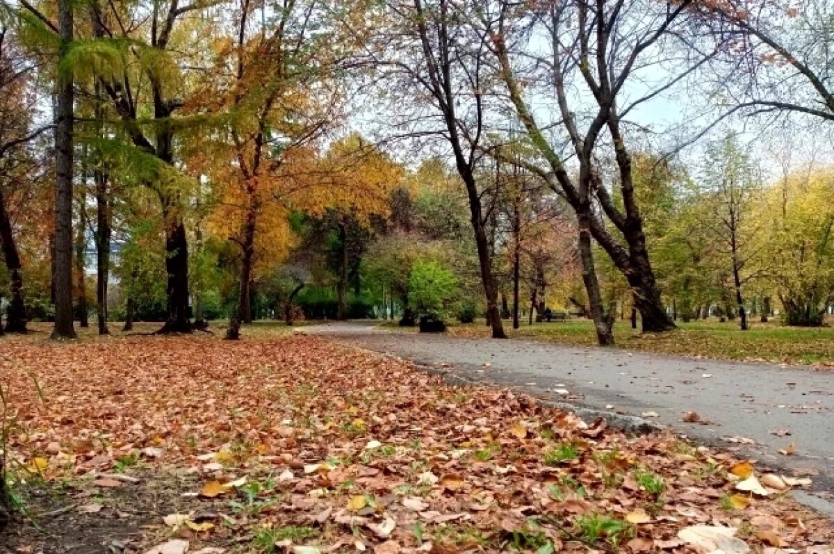    До конца недели летняя погода в Рязани не изменится