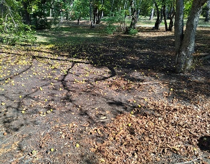 Фотография из личного архива автора