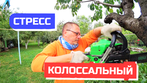 Новый телефон - это как еще один переезд. Стресс колоссальный!