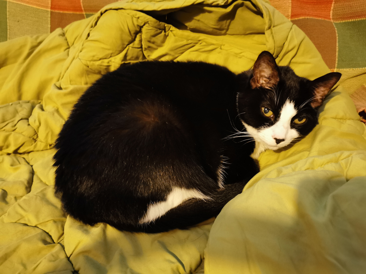 Фото: Ольга Бел