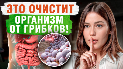 Descargar video: ЭТИ продукты убивают грибок! / Как БЕЗОПАСНО избавиться от грибка в организме?