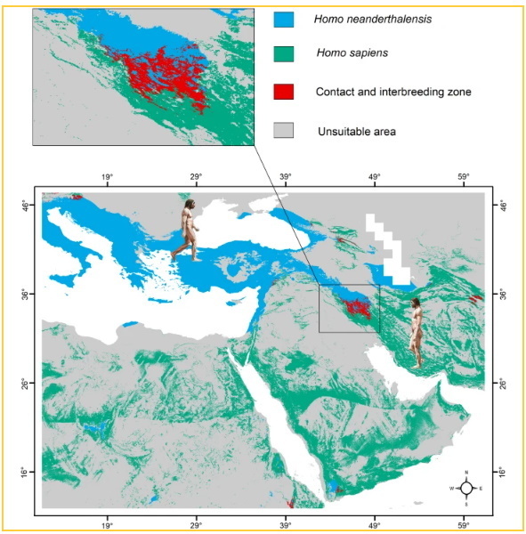     Фото: Saman H. Guran et al./Scientific Reports, 2024