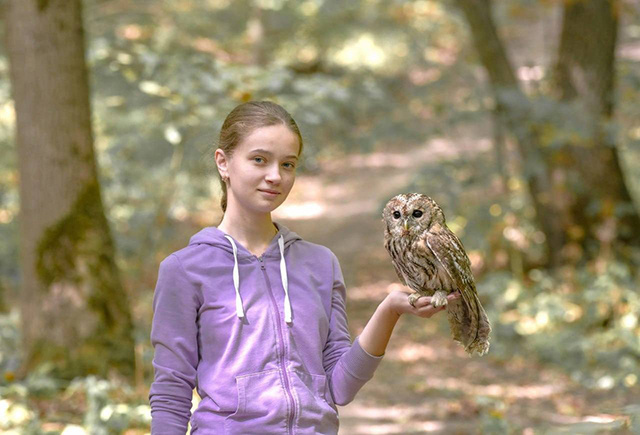    Сову Васю лечили 2 недели, а на днях выпустили в лес