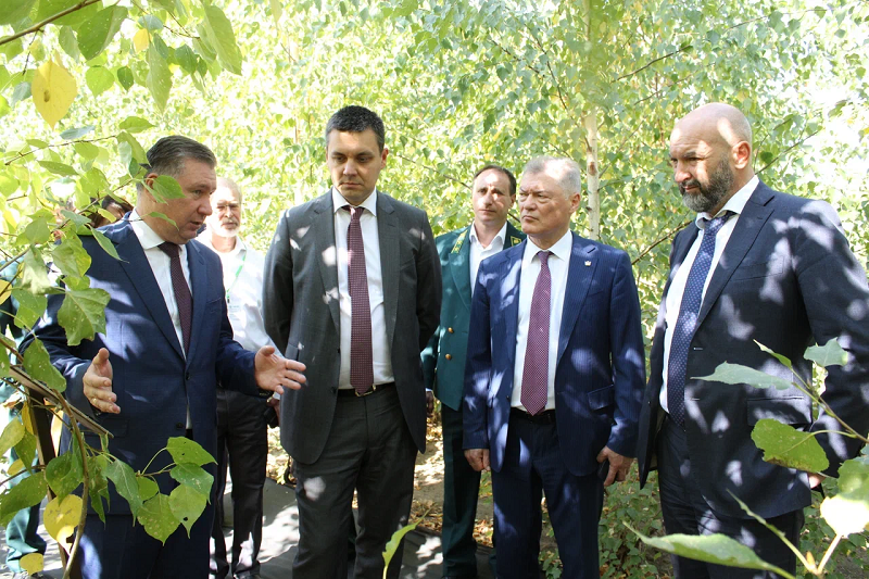 питомнический комплекс Воронежской области