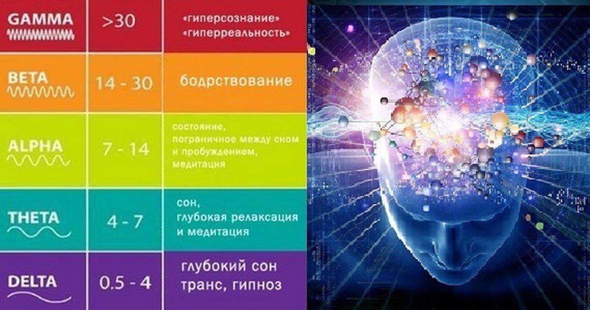 Ритмы головного мозга