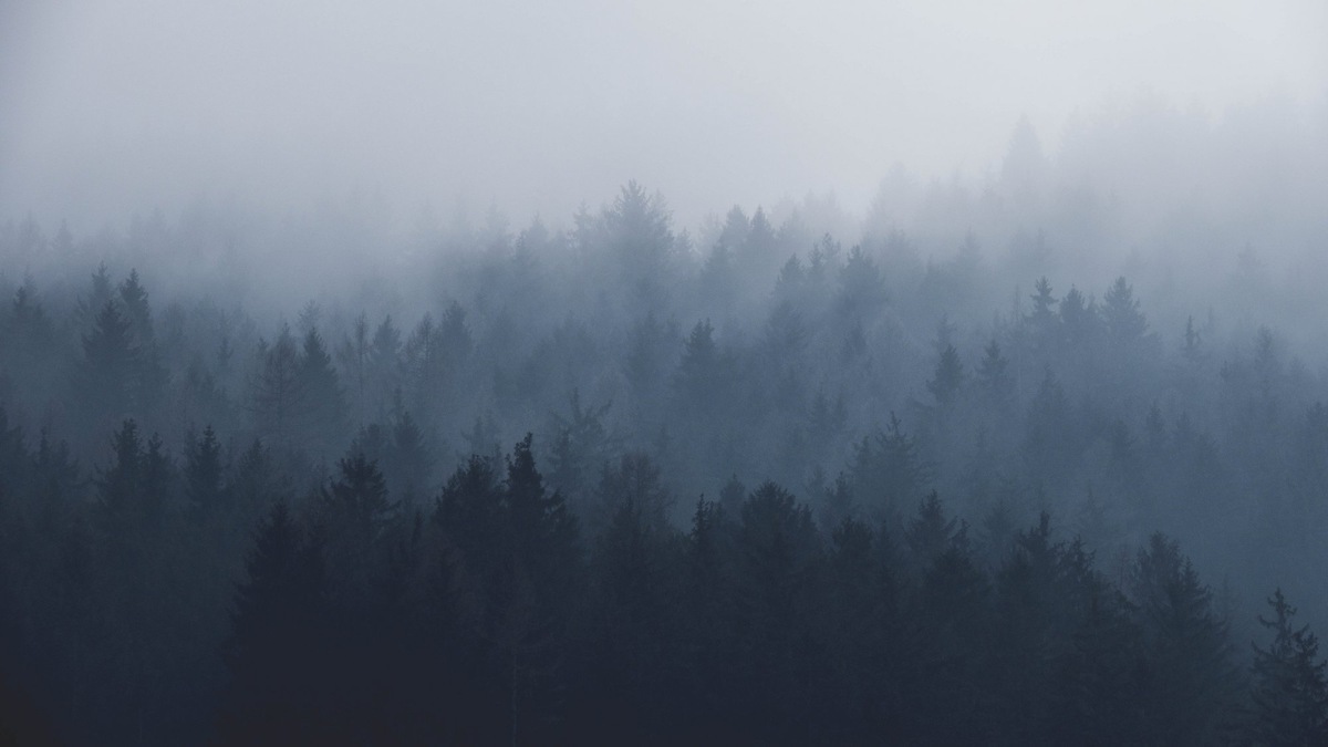 Photo by Paul Pastourmatzis on Unsplash