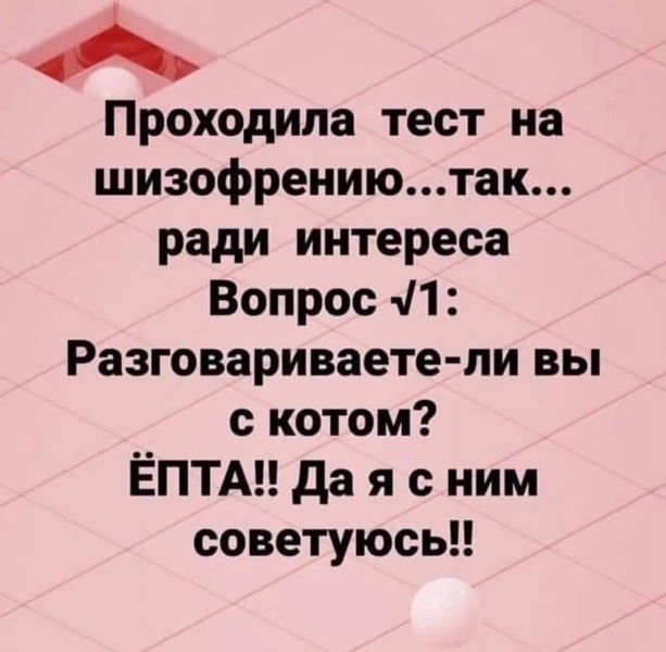 Да я с котом советуюсь! 