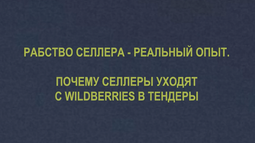 Рабство селлера 2. Интервью с Дмитрием Баскаковым. Почему Селлеры уходят с Wildberries