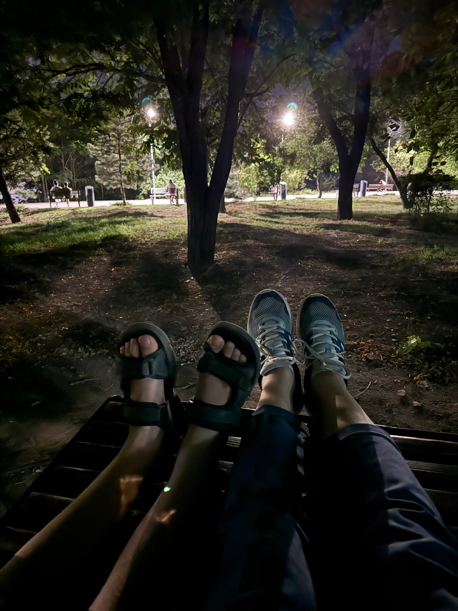 Фото с прогулки по вечернему парку 