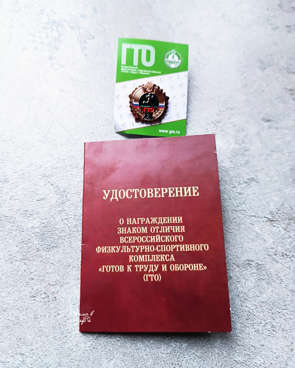 Бронзовый значок ГТО и удостоверение к нему.